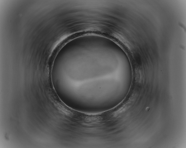 X0000092101021200709121540