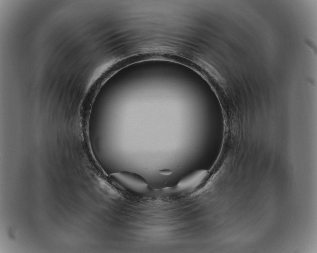 X0000092101022200709121540