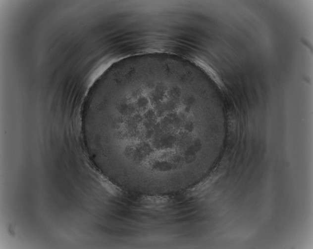 X0000092101023200709121540