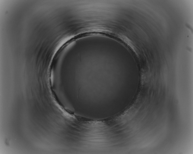 X0000092101024200709121540