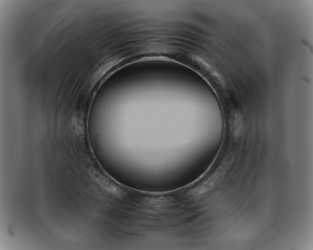 X0000092101025200709121540