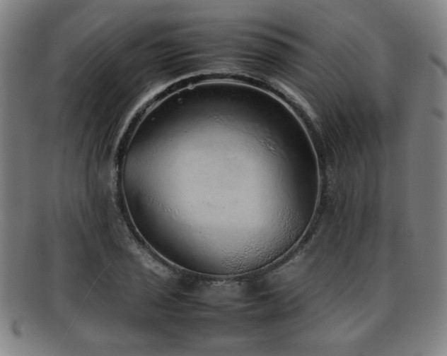 X0000092101029200709121540