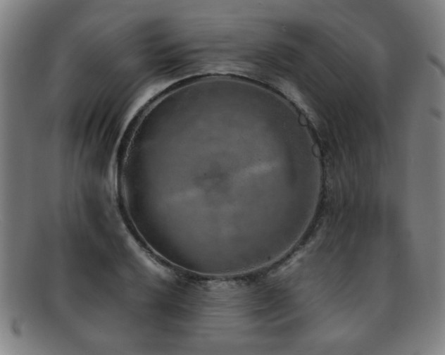 X0000092101032200709121540