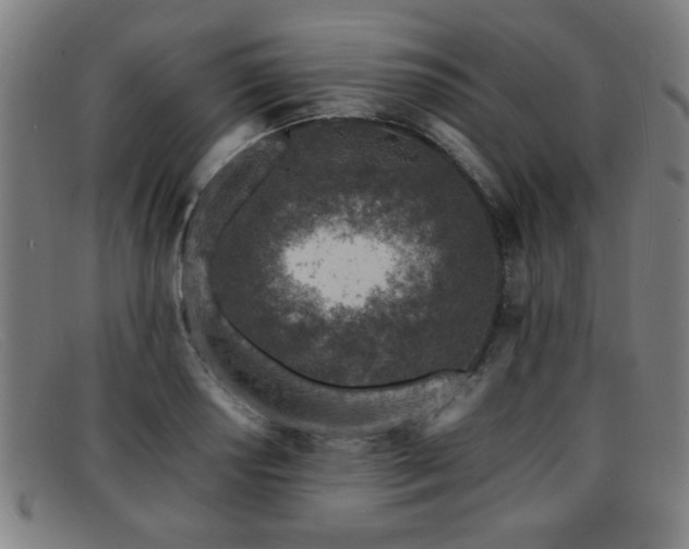X0000092101034200709121540