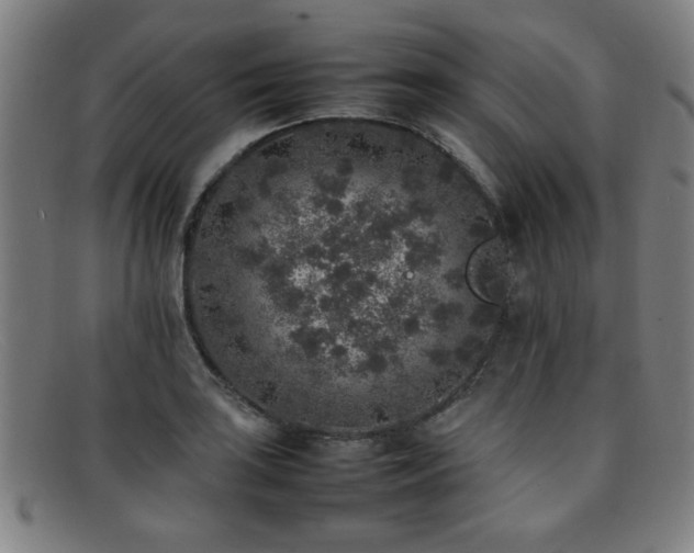 X0000092101035200709121540