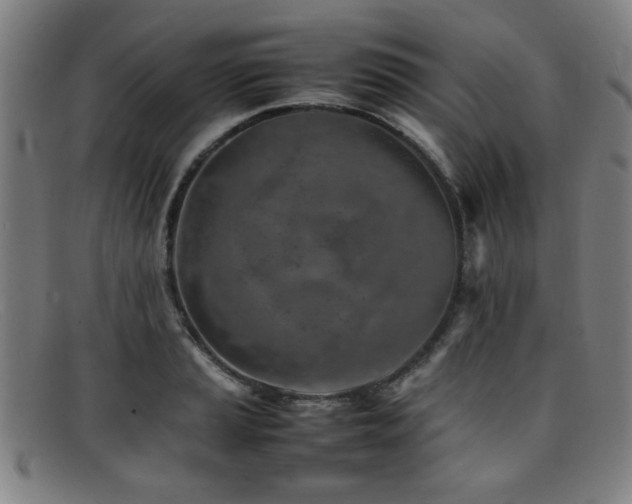 X0000092101037200709121541