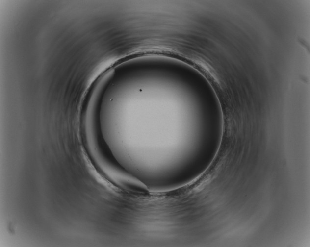 X0000092101038200709121541
