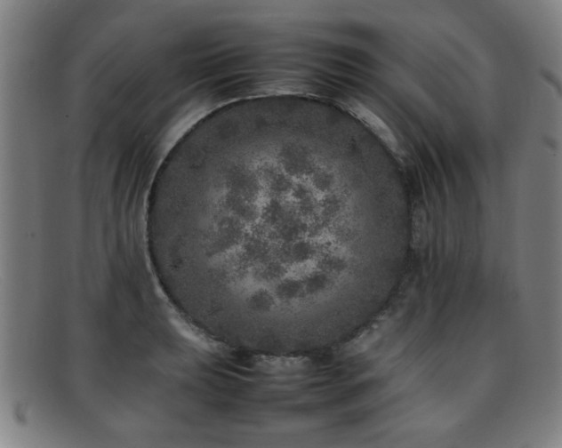 X0000092101039200709121541