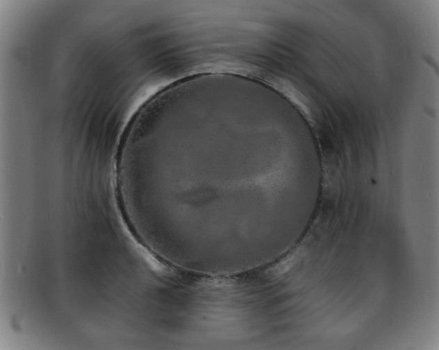 X0000092101040200709121541