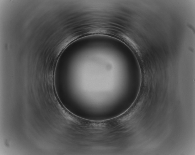 X0000092101041200709121541