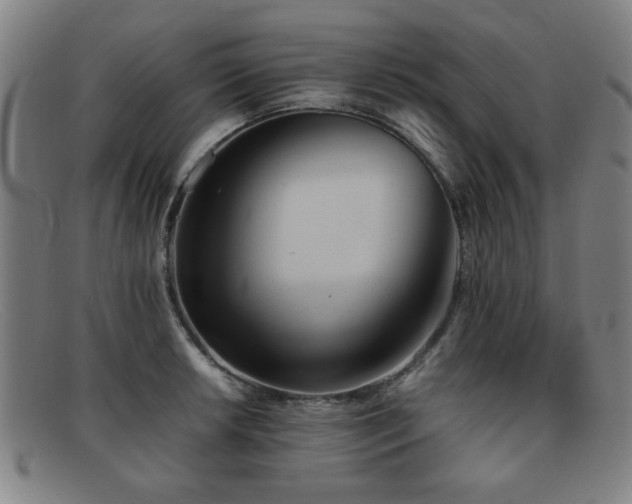 X0000092101042200709121541