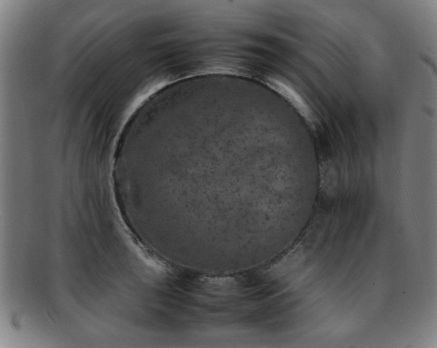 X0000092101043200709121541