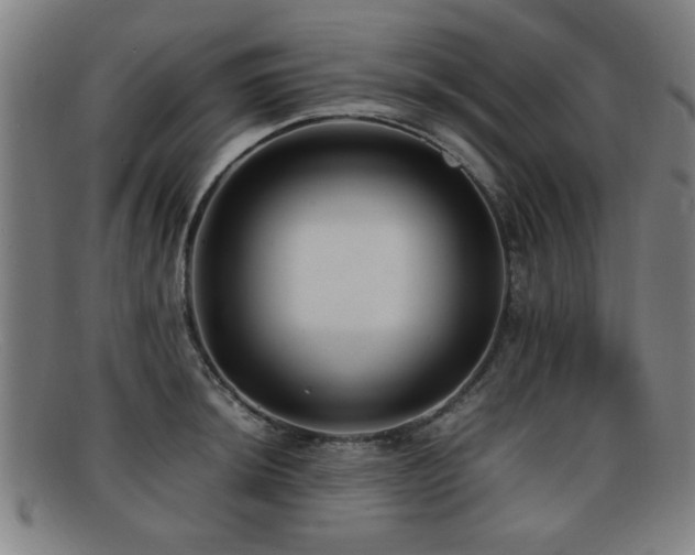 X0000092101044200709121541