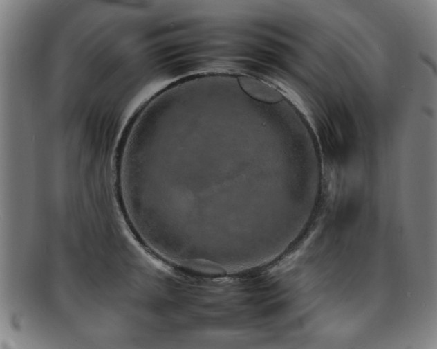 X0000092101045200709121541