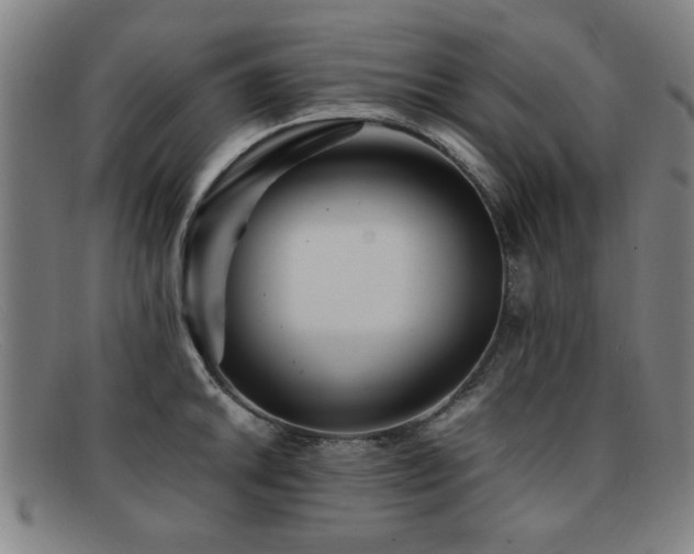 X0000092101046200709121541