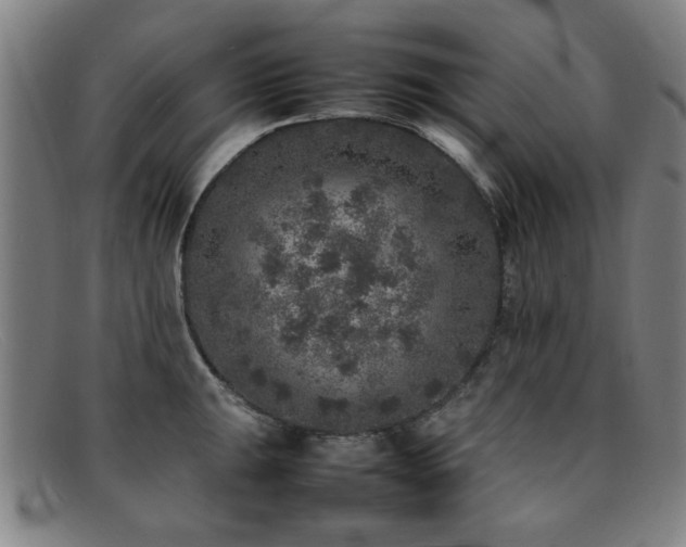 X0000092101047200709121541