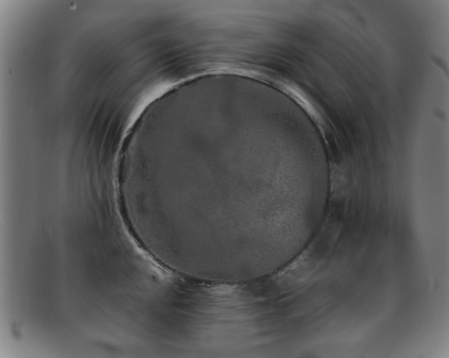 X0000092101048200709121541