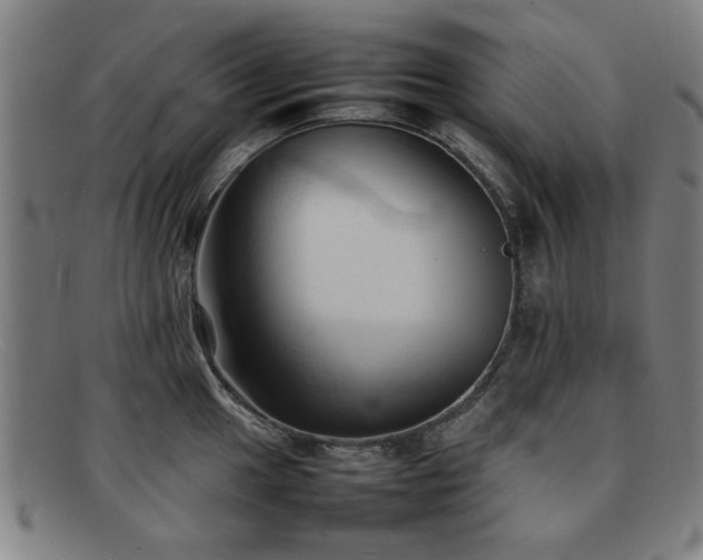 X0000092101049200709121541