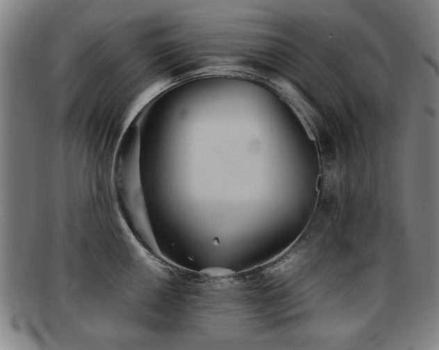 X0000092101050200709121541