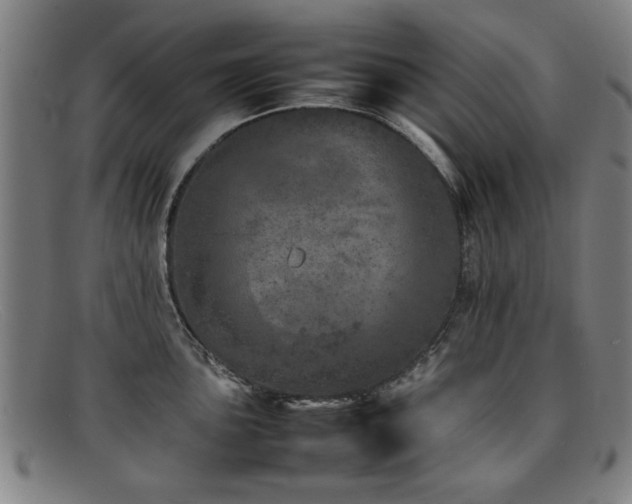 X0000092101051200709121541