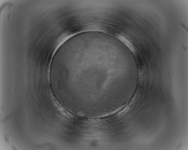 X0000092101052200709121541