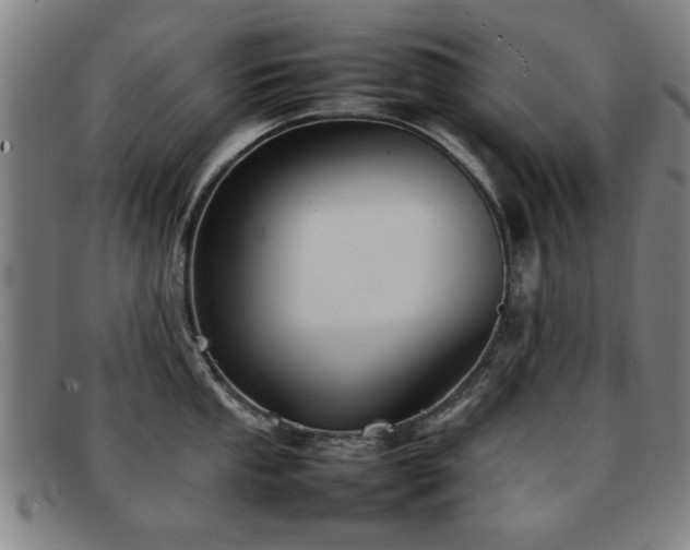 X0000092101053200709121541