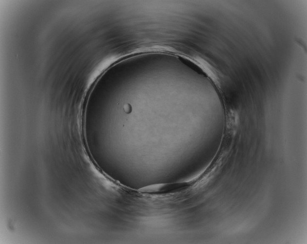 X0000092101054200709121541