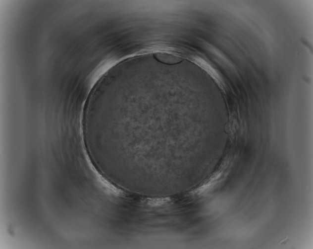 X0000092101055200709121541