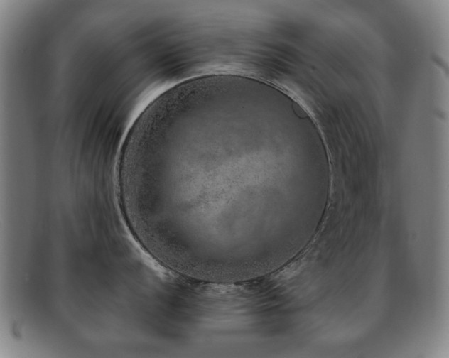 X0000092101056200709121541