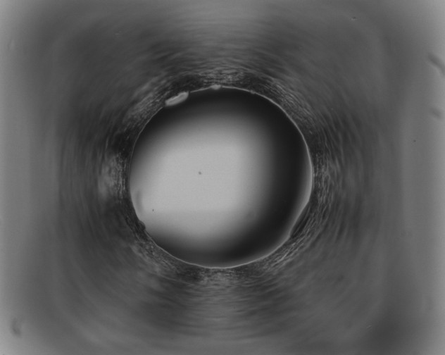 X0000092101058200709121540