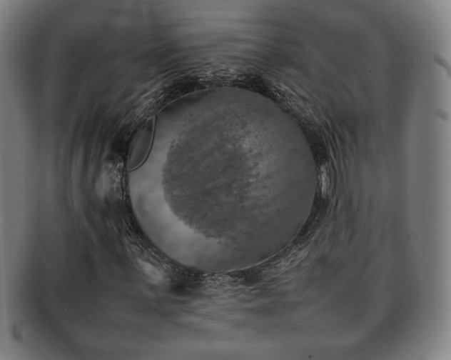 X0000092101059200709121540