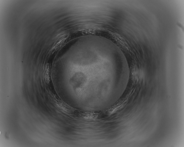 X0000092101060200709121540