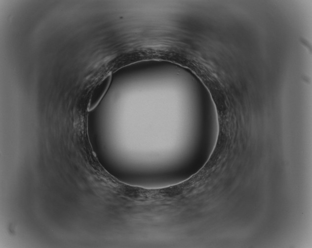 X0000092101061200709121540