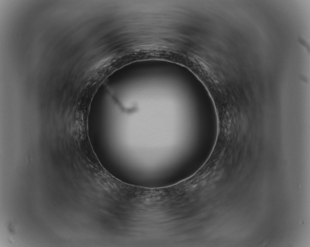 X0000092101062200709121540
