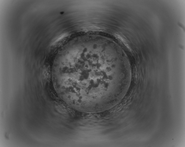 X0000092101063200709121540