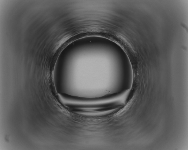 X0000092101065200709121540