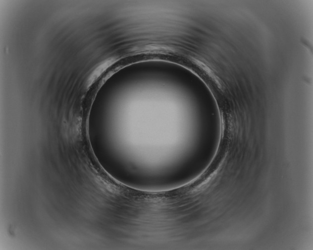 X0000092101066200709121540