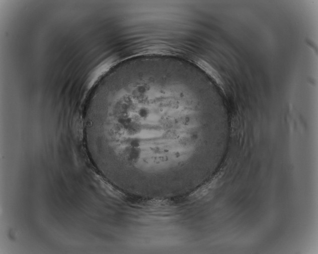 X0000092101067200709121540