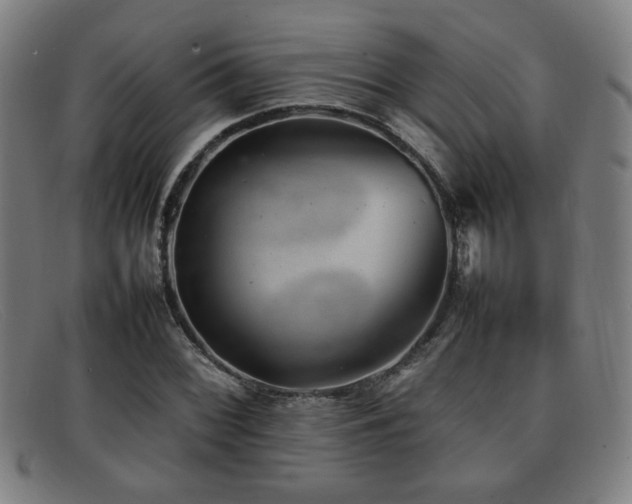 X0000092101068200709121540