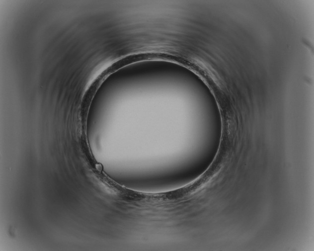 X0000092101069200709121540