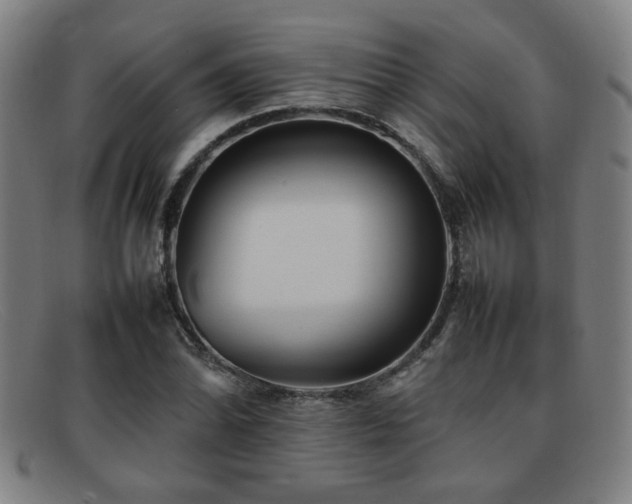 X0000092101070200709121540