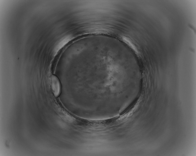 X0000092101071200709121540