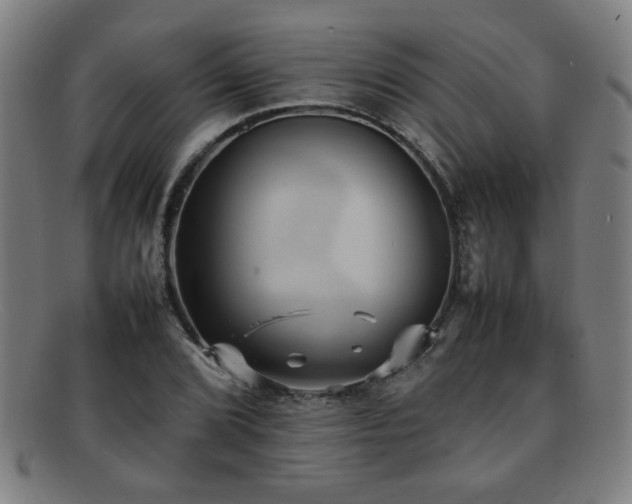 X0000092101072200709121540