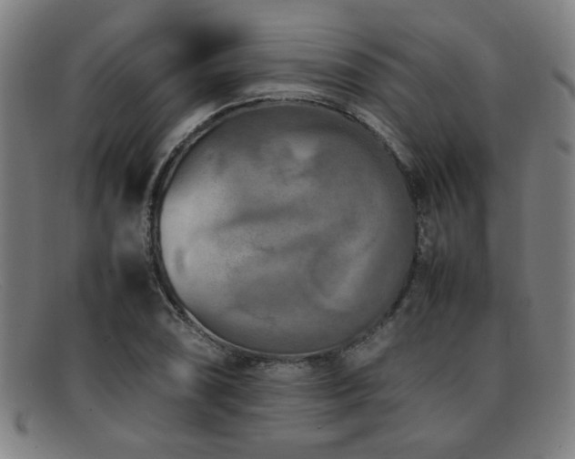 X0000092101074200709121540