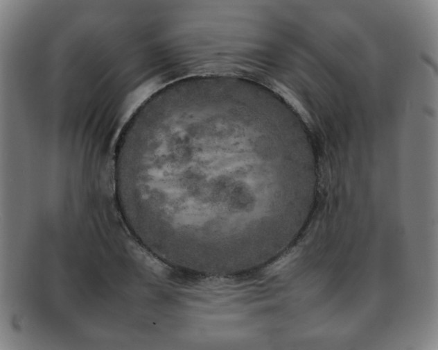 X0000092101075200709121540