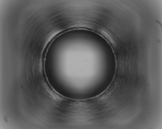 X0000092101076200709121540
