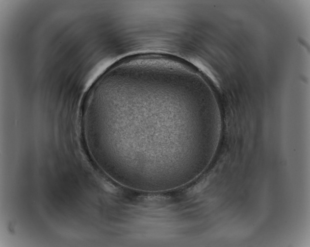 X0000092101077200709121540