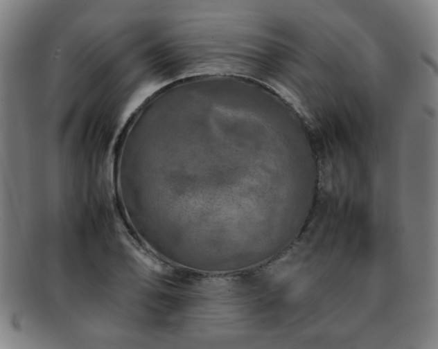 X0000092101078200709121540