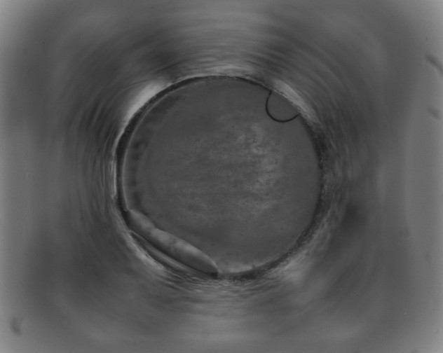 X0000092101079200709121540