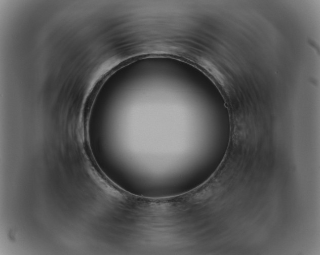 X0000092101080200709121540